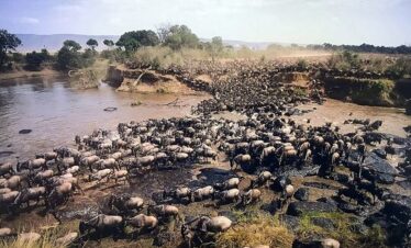 3 Days 8th Wonder Of The World with Maasai Mara Great Tour